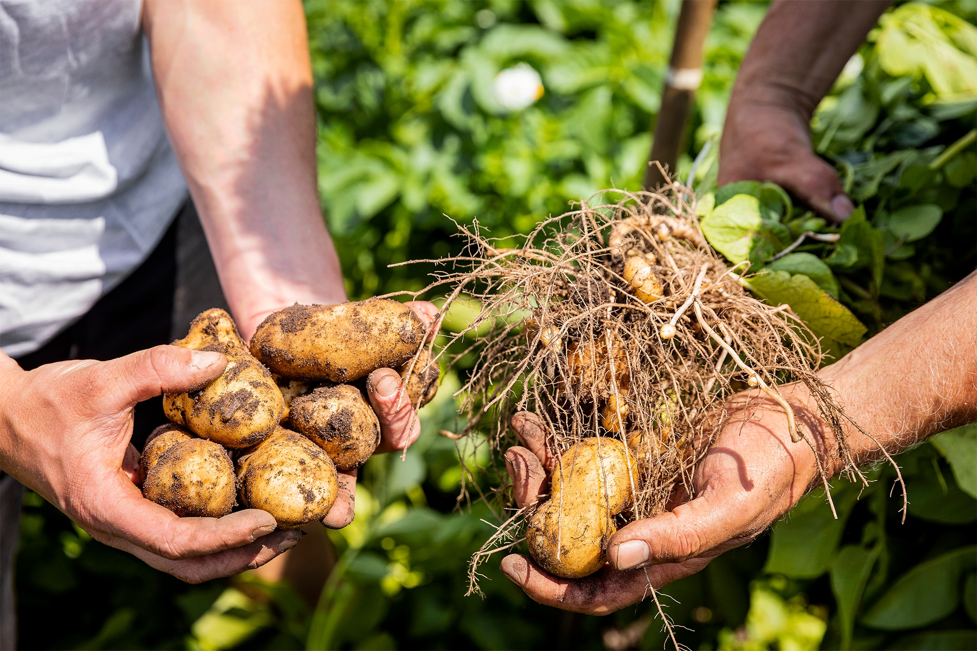 Sustainability report